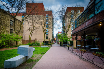 Market Lane Park, in Toronto, Ontario.