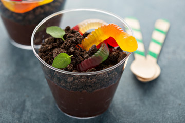 Children chocolate dessert in a cup dirt and worms