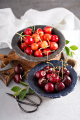 Fresh sweet cherries in bowls