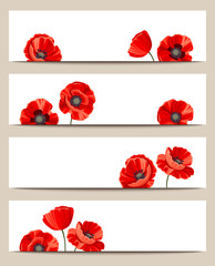 Set of four vector web banners with red poppies.