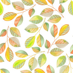 Seamless pattern with the watercolor branches with green and yellow leaves, hand painted isolated on a white background