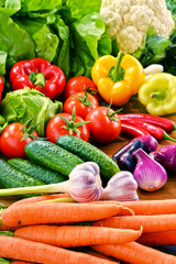 Composition with variety of fresh organic vegetables