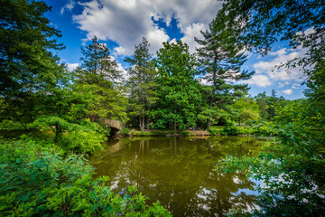 Fototapeta na wymiar Pond at Elizabeth Park, in Hartford, Connecticut.