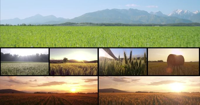 MONTAGE: Aerial fields multiscreen