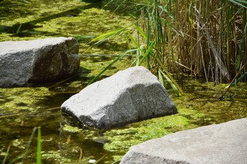 Fototapeta na wymiar Teich mit Steinen