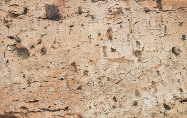 Texture of the old brick from clay