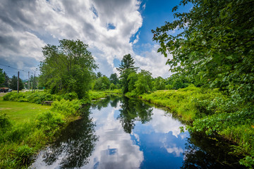 Sucker Brook, in Auburn, New Hampshire.