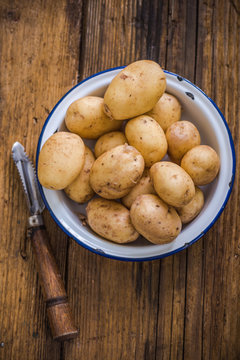 potato harves