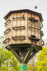 Moderner Taubenschlag aus Holz auf Holzständer - Contemporary dovecote on wooden stand