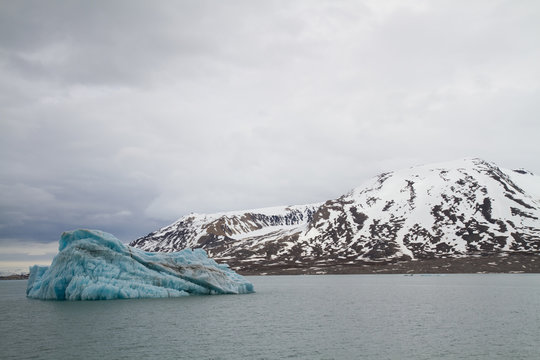 landscape of the svalbard nature