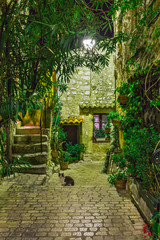 Obraz premium Tourrettes-sur-Loup in France.
