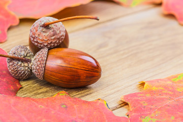 Oak acorns and leaves on the table