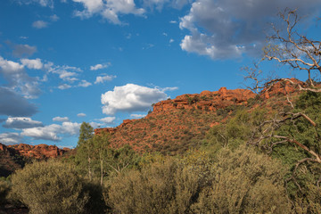 Fototapeta premium Landscape of the Kings Canyon, Outback of Australia
