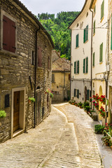 Fototapeta na wymiar street provincial Italy