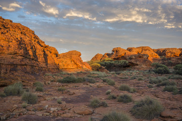 Landscape of the Kings Canyon, Outback of Australia
