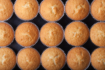 Fresh cupcake desert before decoration. Top view