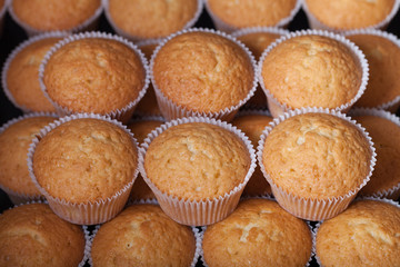 Fresh cupcake desert before decoration. Selective focus. Shallow