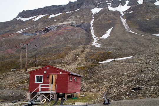 landscape of svalbard during the summer season