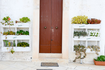 Fototapeta na wymiar Entrance door of a house decorated with cactus plants