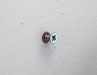 wall screw