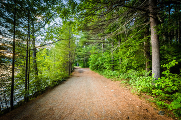 Trail along Winnisquam Lake, at Ahern State Park, in Laconia, Ne