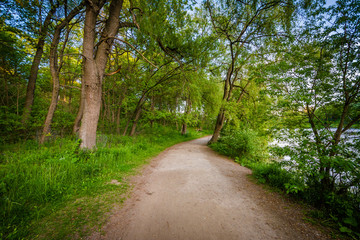 Trail at High Park in Toronto, Ontario.