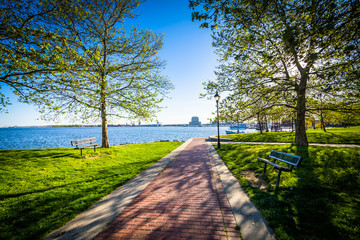 Trees along a walkway at Canton Waterfront Park, in Baltimore, M