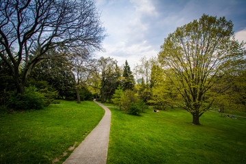 Fototapeta na wymiar Trees along a walkway at High Park, in Toronto, Ontario.