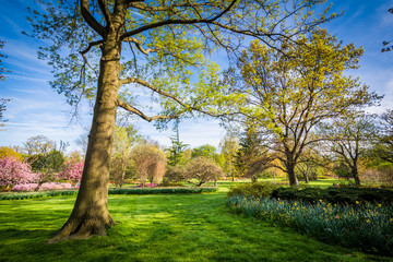 Trees and flowers at Sherwood Gardens Park, in Baltimore, Maryla