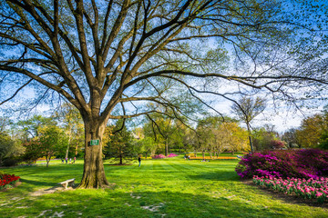 Trees and flowers at Sherwood Gardens Park, in Baltimore, Maryla
