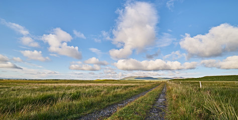 Strada di campagna - Islay, Scozia