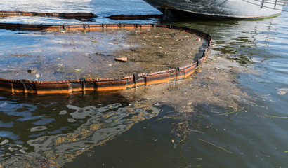 Oil and garbage pollution in the water. Selective focus with shallow depth of field.