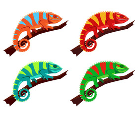 Vector illustration of chameleons different colors