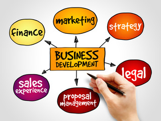 Business development mind map, business concept