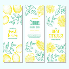 Citrus vertical banner collection. Lemons hand drawn in ink illustration. Vector vintage illustration. Line art graphic.