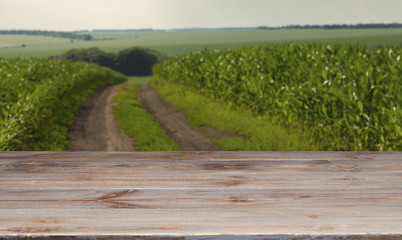 Beautiful wooden table in a landscape.