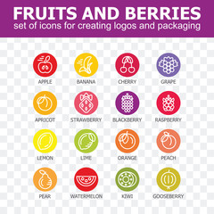 Fruit and berries icon collection - vector illustration. Fruit and berries icons set for creating logos and packaging. Fruit and berries line icons.