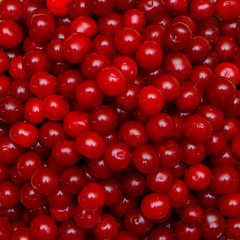 Set of beautiful red cherry in a glass dish