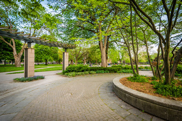 Walkway and trees, at the Allan Gardens, in the Garden District,