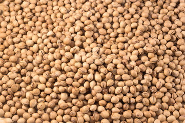 Background of peeled and dried cherry stones