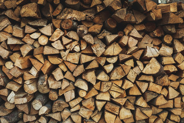 Fire wood stock for winter