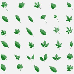 Green set of 35 leavs icons isolated on background. Modern flat