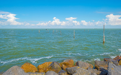 Dike along a lake in summer
