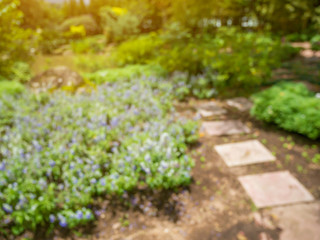 Walkway in the flowers garden blur background
