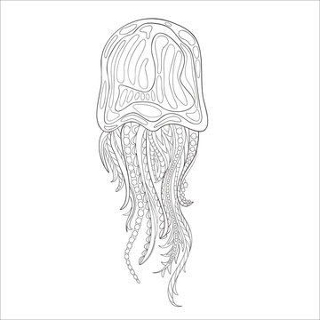 Hand drawn vector jellyfish in black and white zentangle doodle style.
Pattern for coloring book.
