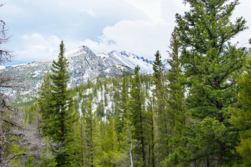 Rocky mountains in the springtime in Coloredo