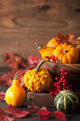 decorative mini pumpkins and autumn leaves for halloween