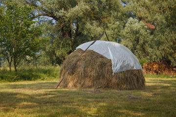 a haystack in a meadow near the trees