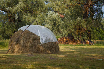 a haystack in a meadow near the trees