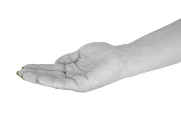 Open hand holding something, natural female's skin, yellow manicure. Isolated on white background